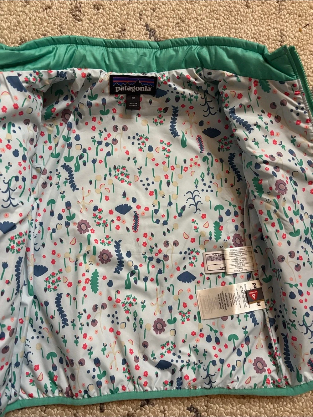 Patagonia fleece jacket and puffer (3T) EUC
